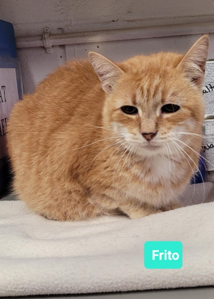 Frito