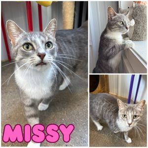 Missy, Young Female unknown