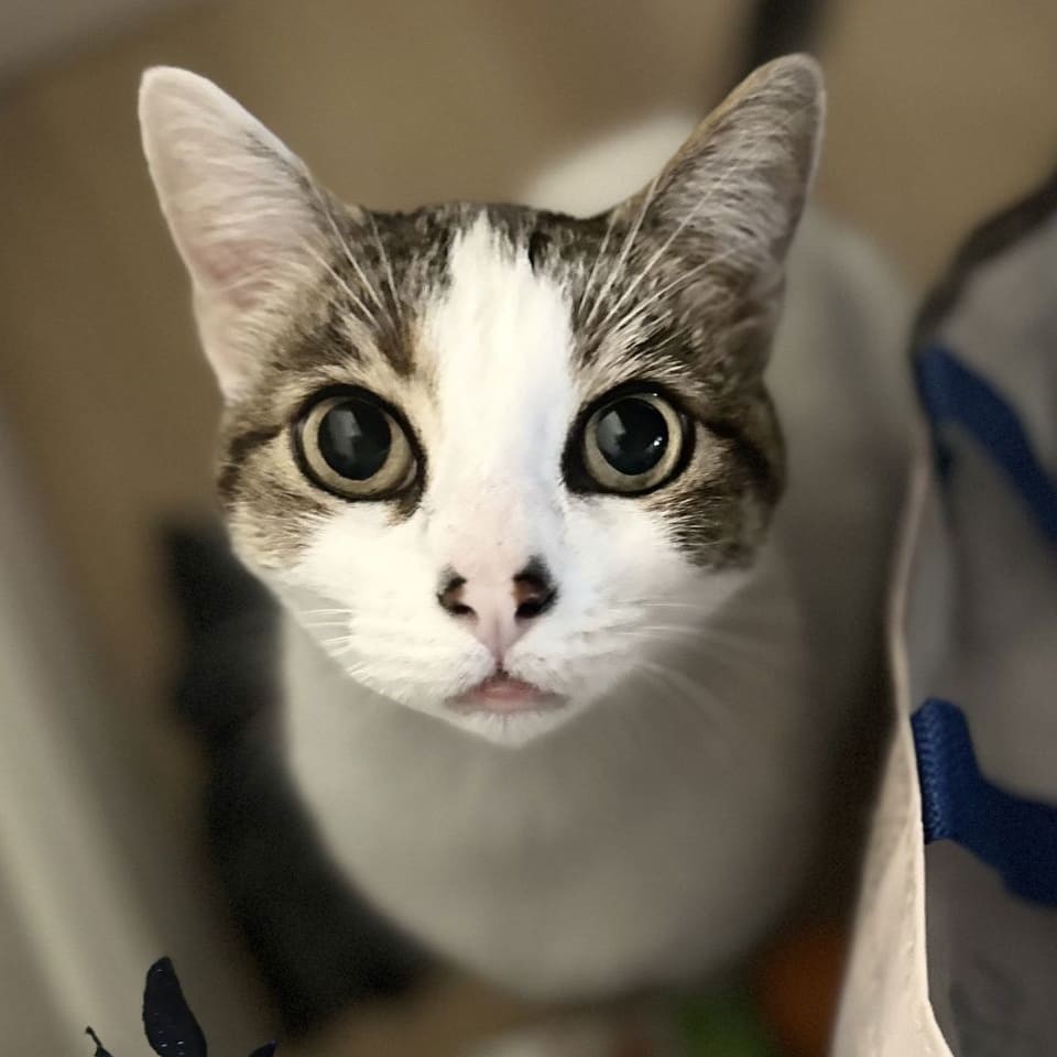 Tinney (pronounced Tin-ey)
