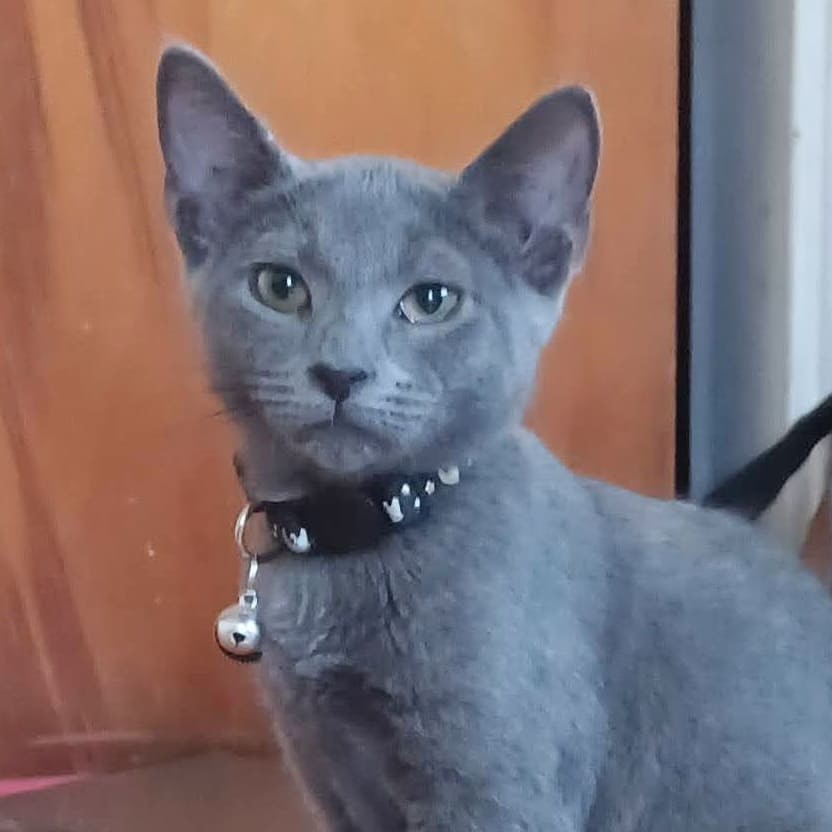 Smudge