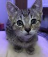 Gus photo 1