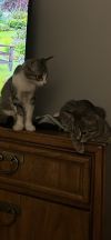 Gus photo 2
