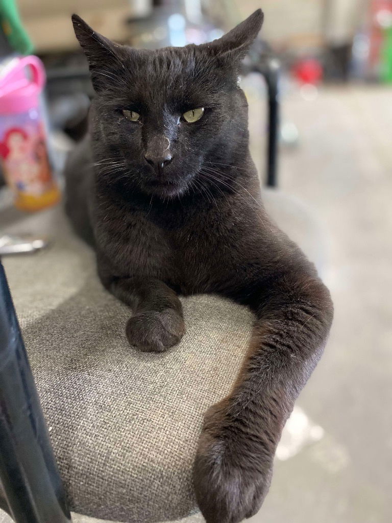 Binx