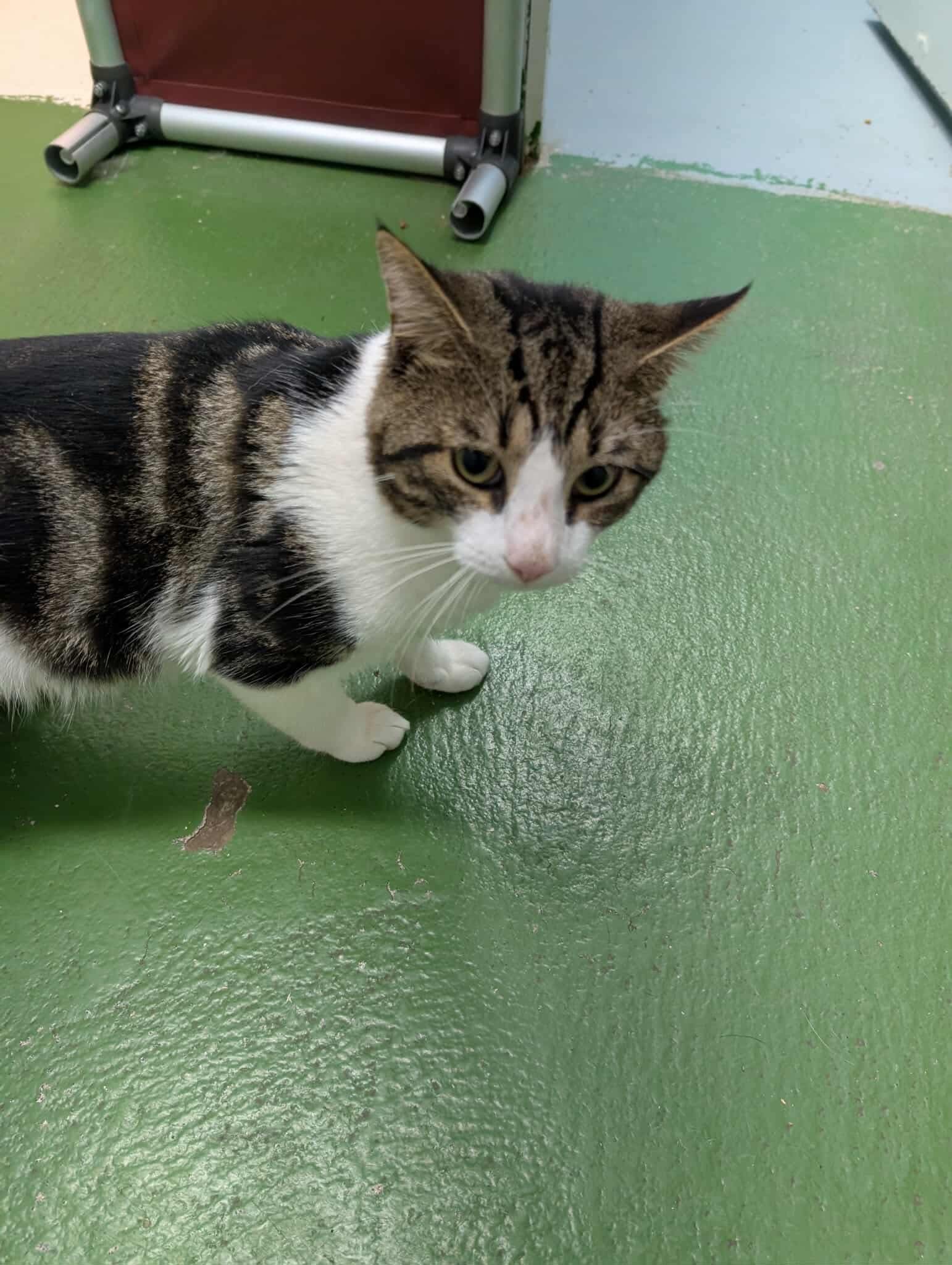 Epson: At shelter