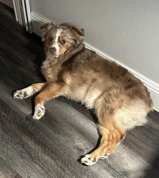 Bently Madison