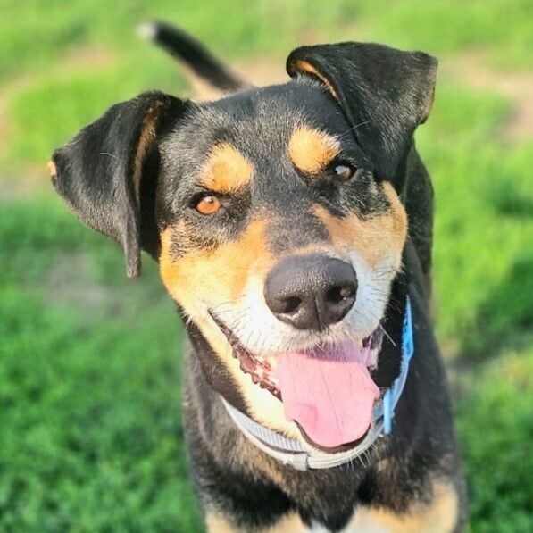 Tucker