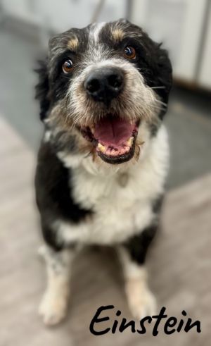 Einstein