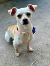 Buster photo 1