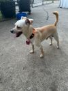Buster photo 6