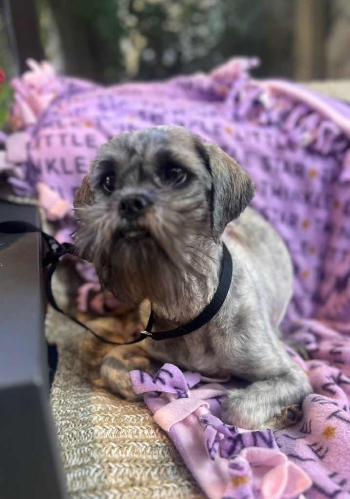 Bea