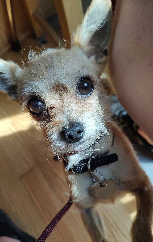 Sampson