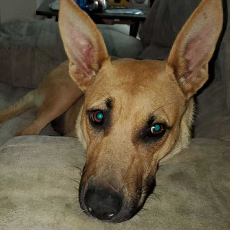 Sasha photo