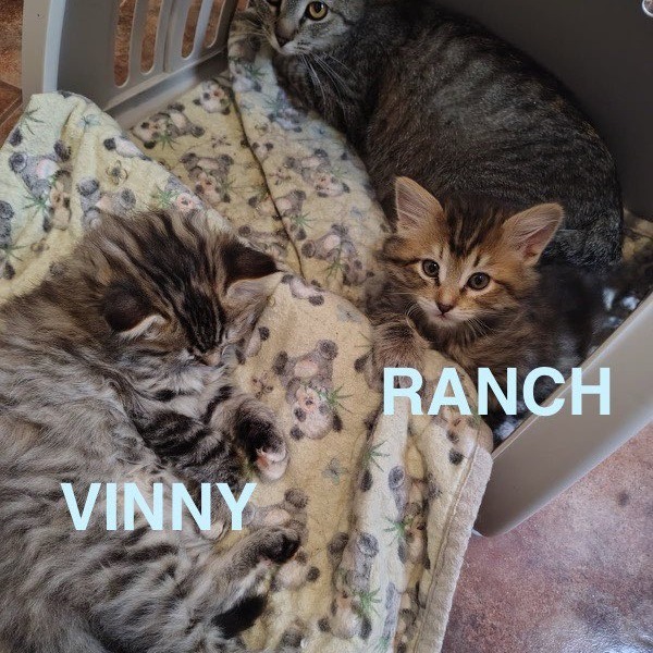 Ranch thumbnail 2