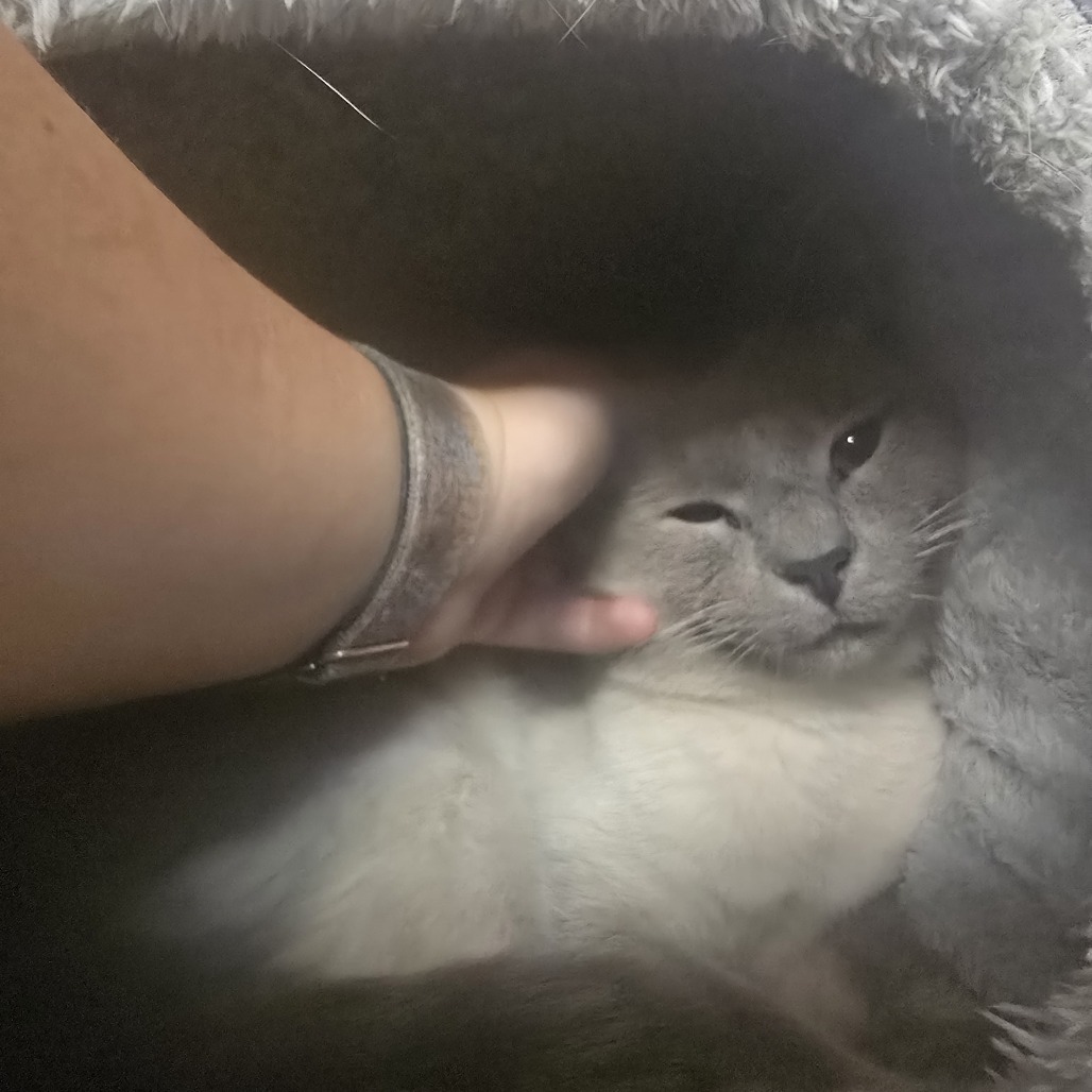 Benji