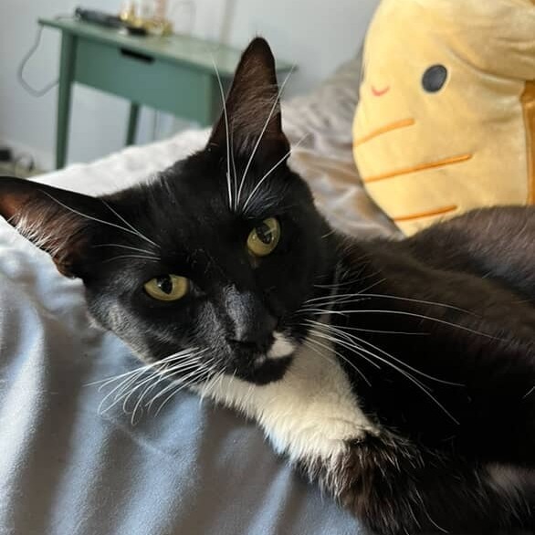 Juno