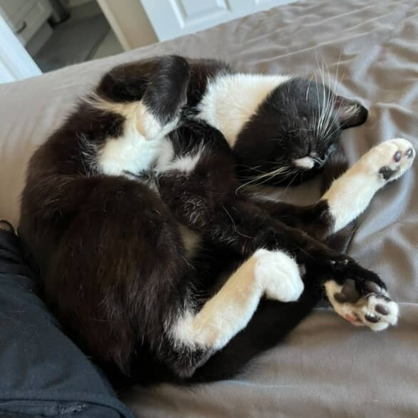Juno