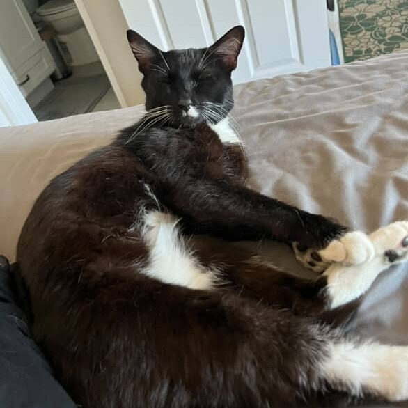 Juno