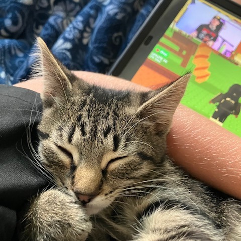 Mopsy