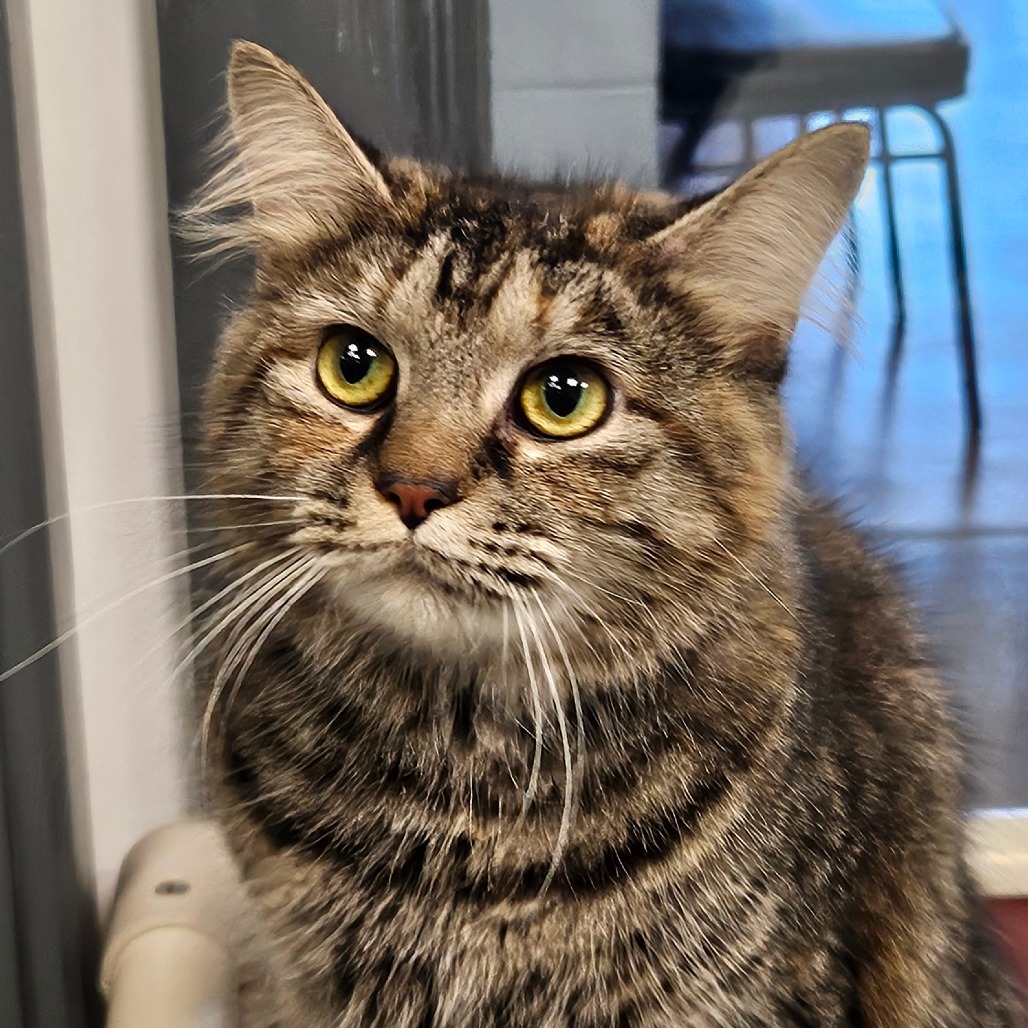 Freya