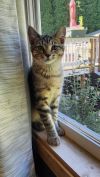 Jean photo 1