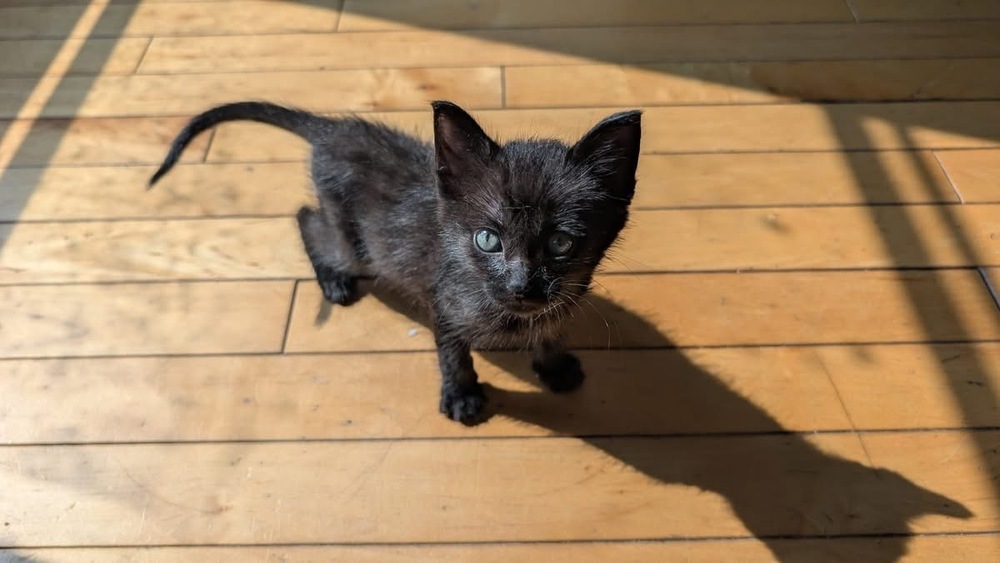 Micro