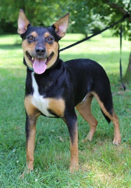 Ryker