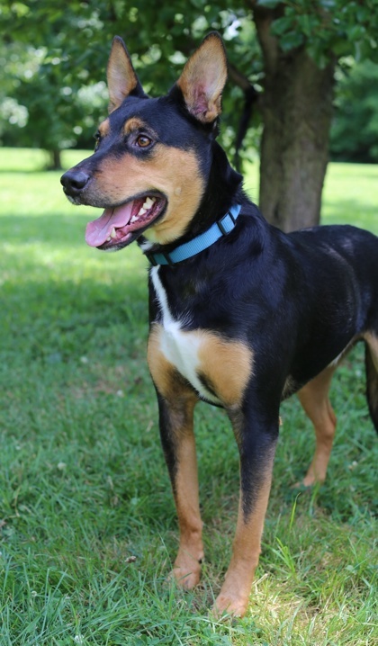 Ryker