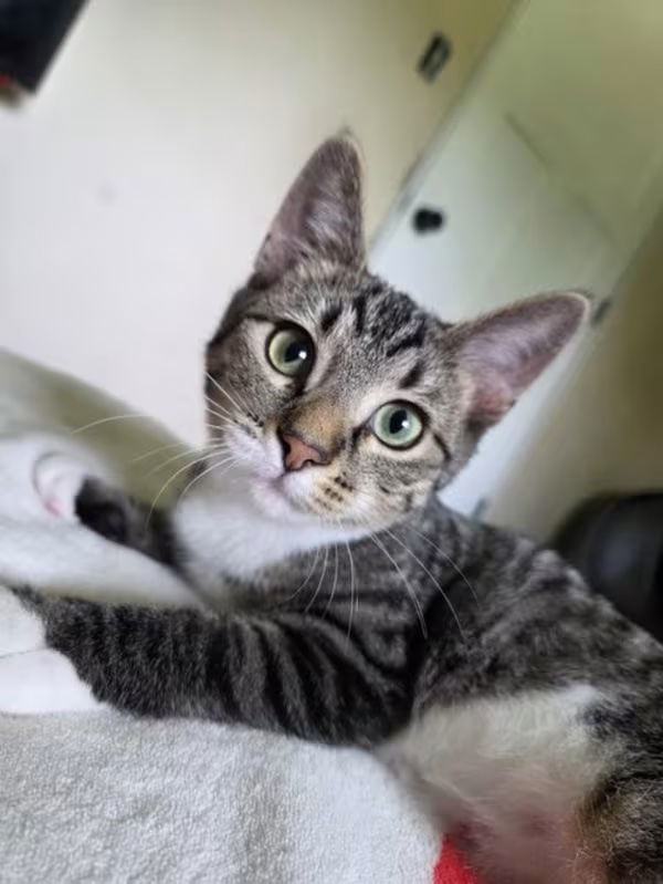 Kassy