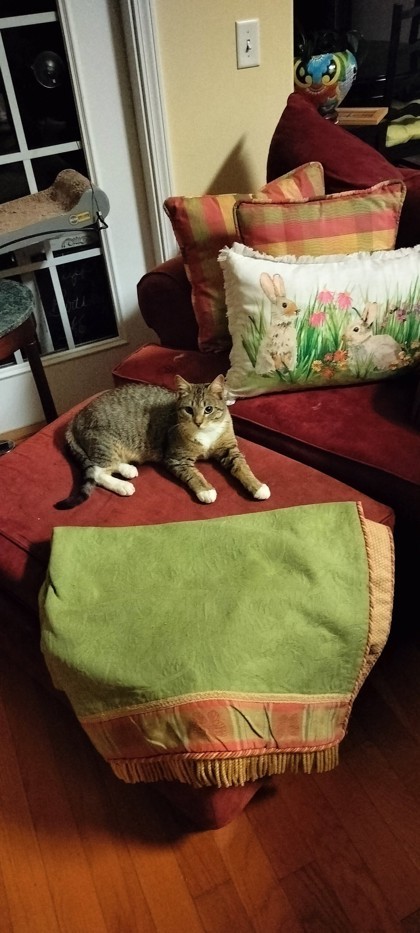 Valentino