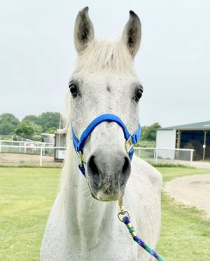 Magic, Senior Male unknown