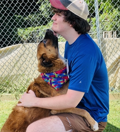 Bubbles $85, an adoptable Leonberger, Mixed Breed in Seneca, SC, 29678 | Photo Image 3