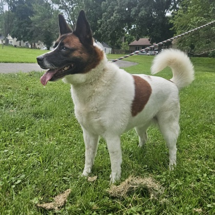 Bella
