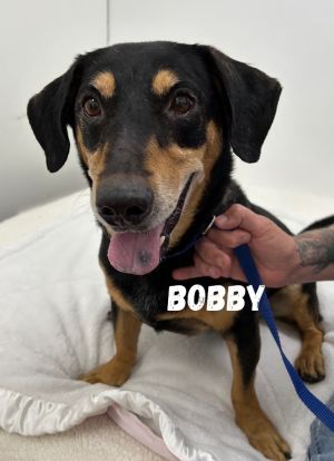 Photo of Bobby