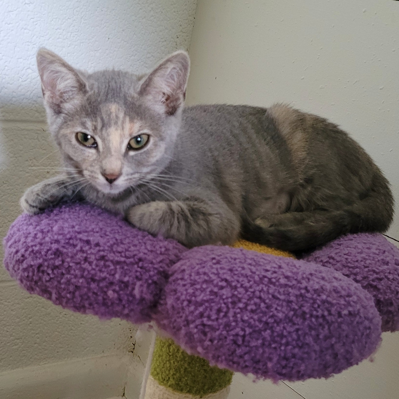 Jeri