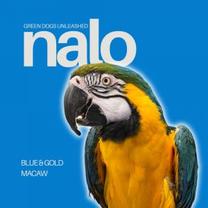 Nalo, Adult Unknown unknown