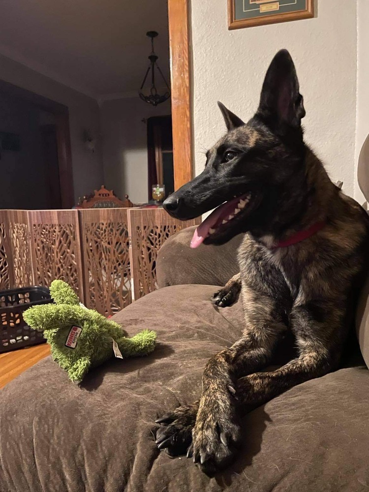Duchess - located in Illinois