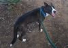 Smokie* photo 2