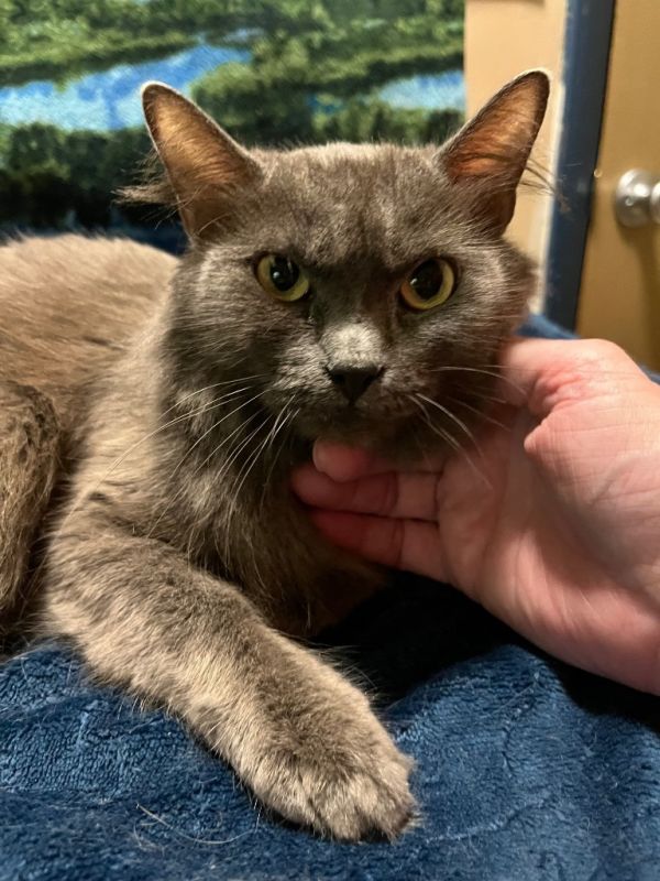 Ubiquity thumbnail 2