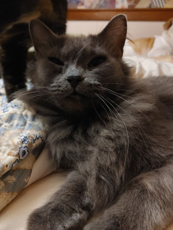 Ubiquity thumbnail 3