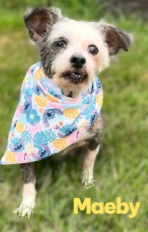 Maeby, Senior Female unknown