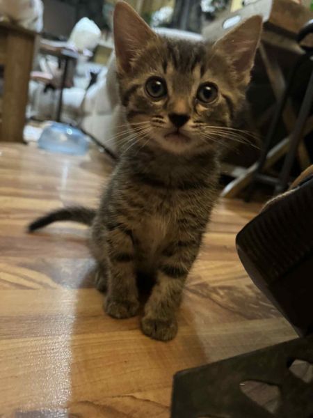 LIL