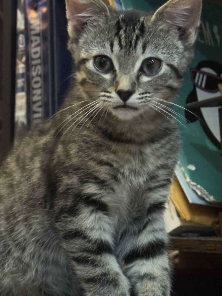 LIL