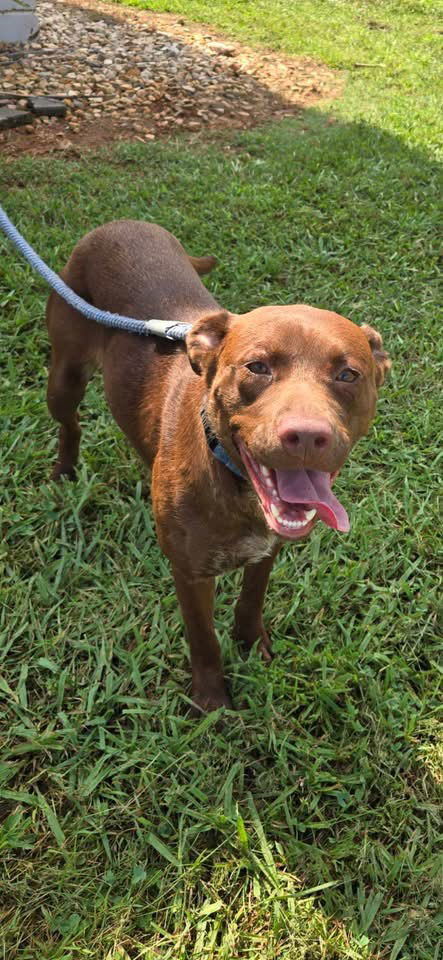 Chev - At shelter available 7/21