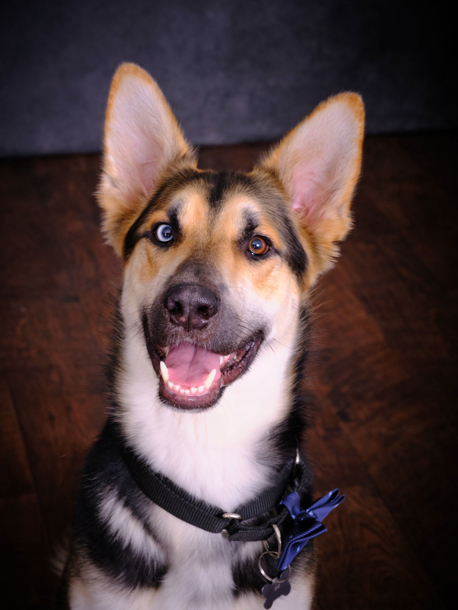 Jax