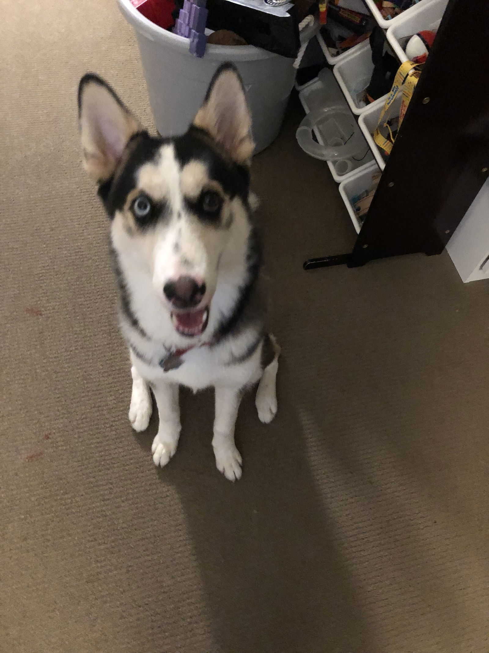 Kaia