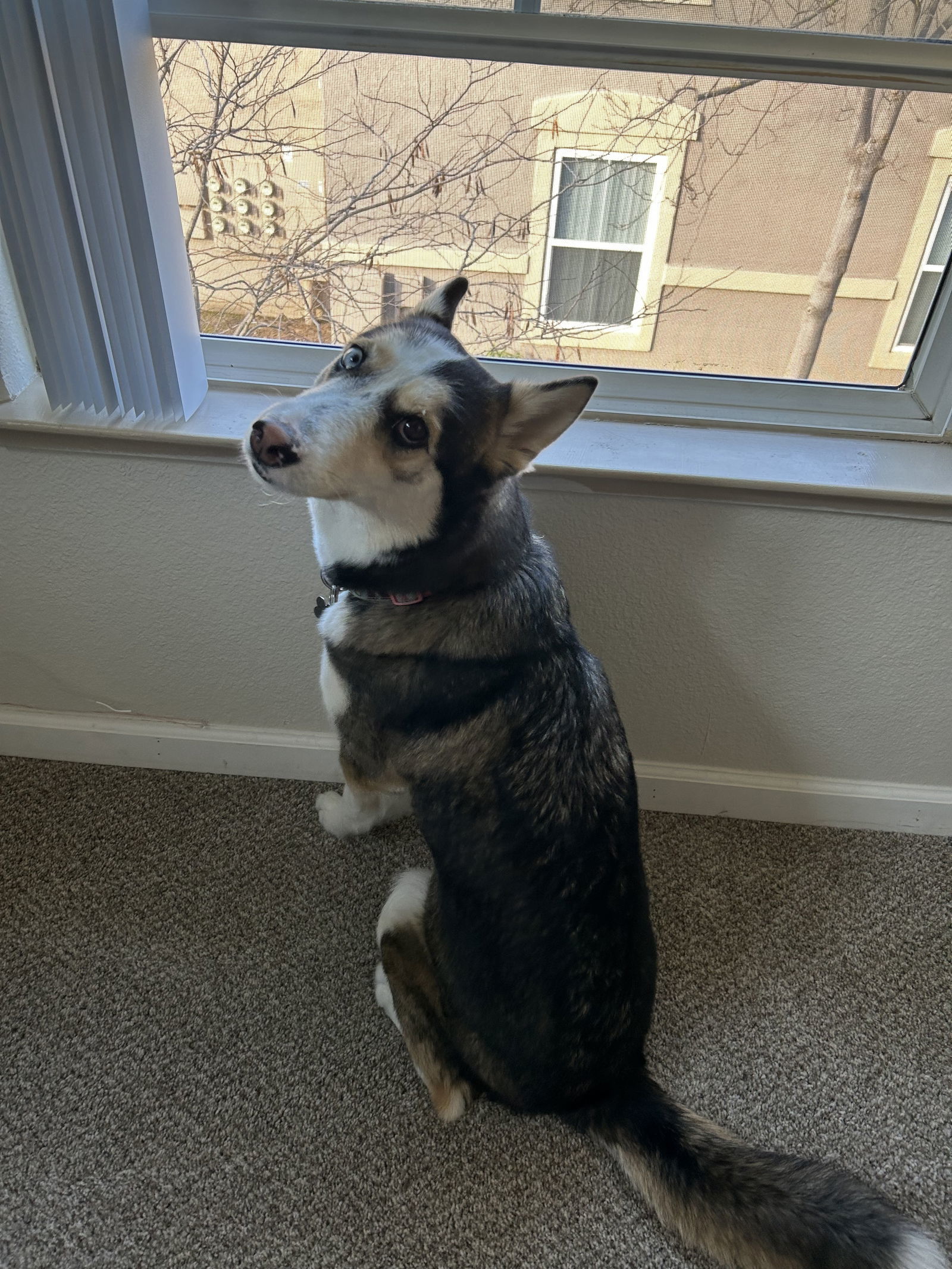 Kaia