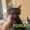 Poblana photo 2