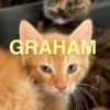 Graham photo 2