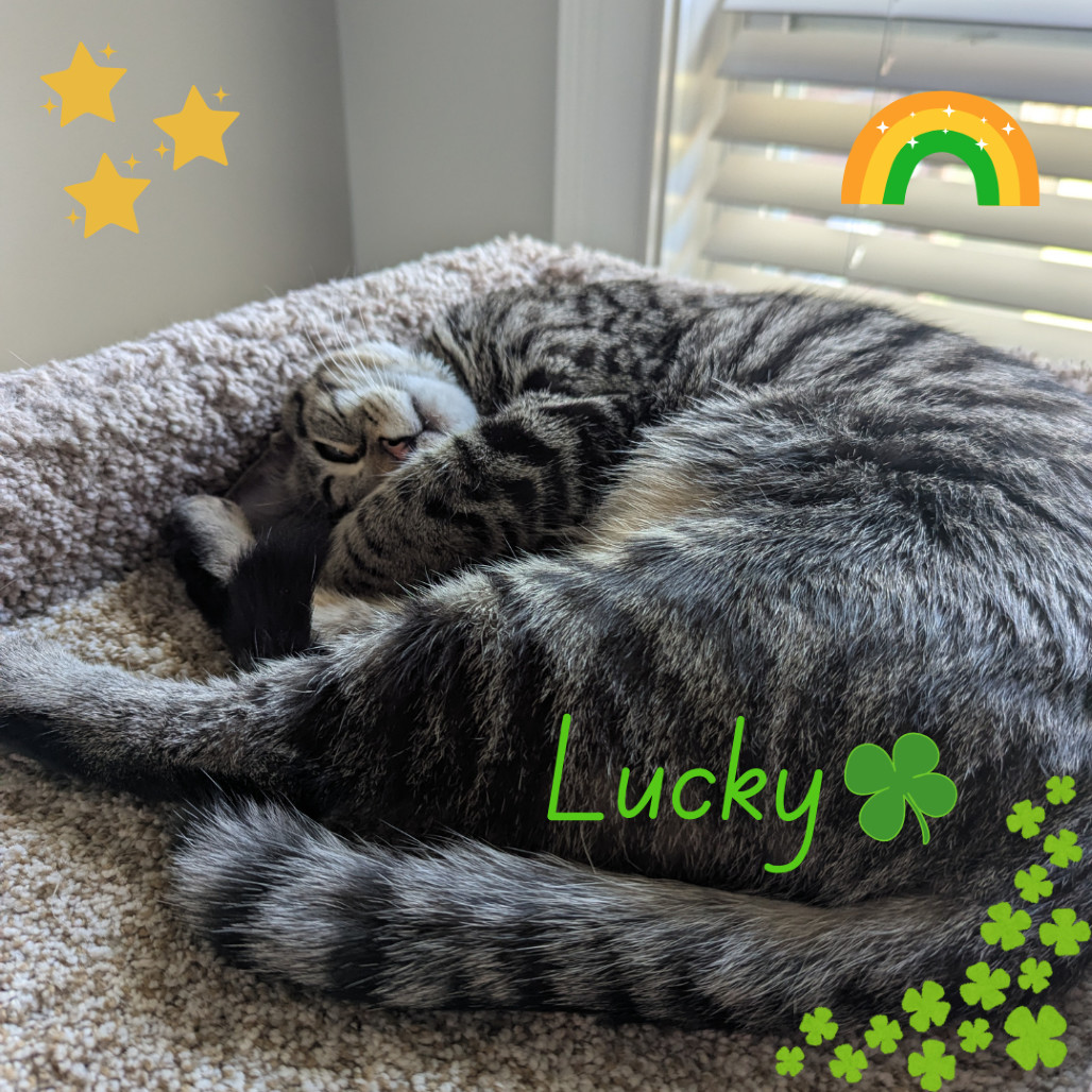 Lucky