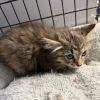 Freya photo 2